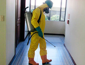 fumigación de casas