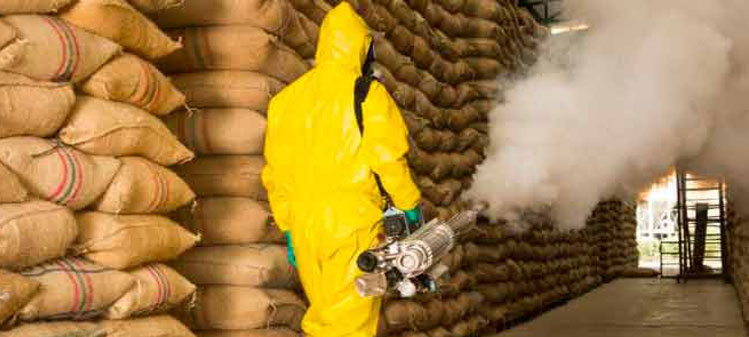 servicio de fumigación